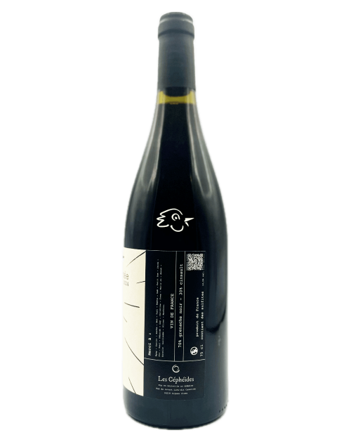 Les Cépheides - Ca Céphée 2024 - Avintures