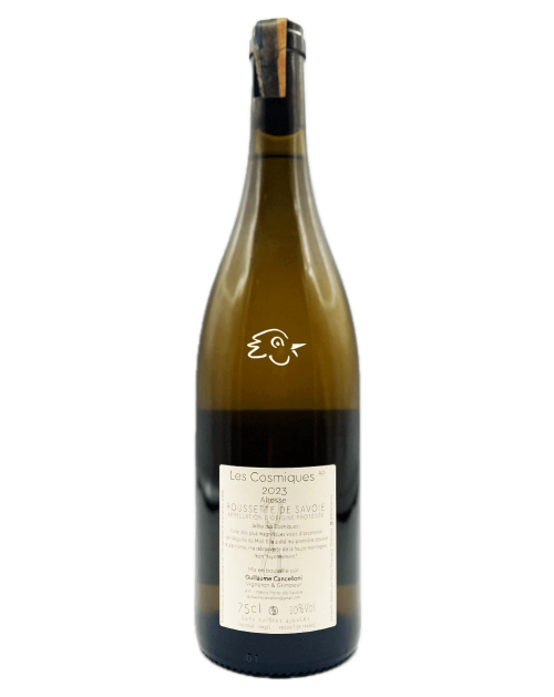 Guillaume Cancelloni, Dégaine - Les Cosmiques 2023 - Avintures