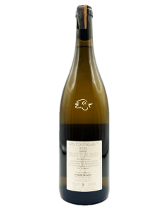 Guillaume Cancelloni, Dégaine - Les Cosmiques 2023 - Avintures