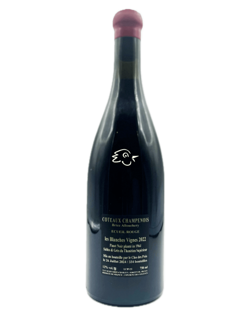 Brice Allouchery - Les Blanches Vignes 2022 - Avintures