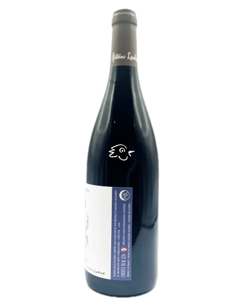 Antoine Lienhardt - GamayOptere 2023 - Avintures