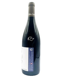 Antoine Lienhardt - GamayOptere 2023 - Avintures