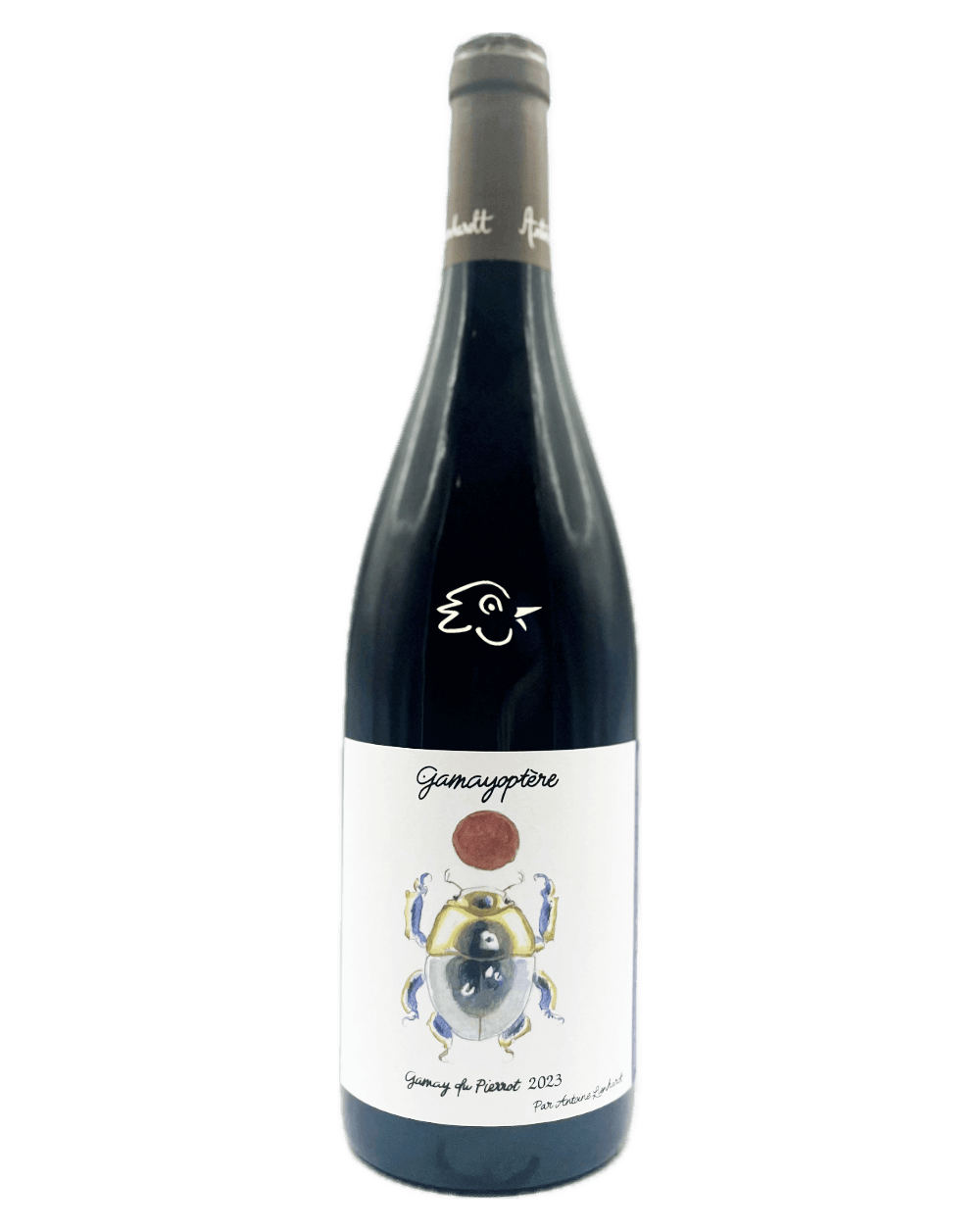 Antoine Lienhardt - GamayOptere 2023 - Avintures