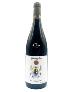 Antoine Lienhardt - GamayOptere 2023 - Avintures