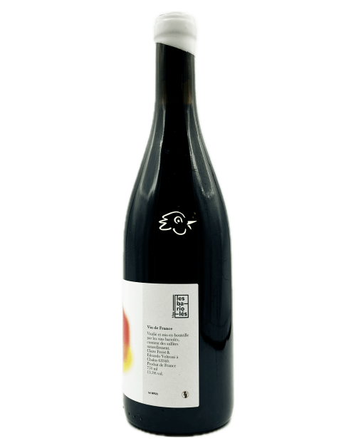 Les Bariolés - Moitié Route 2024 - Avintures