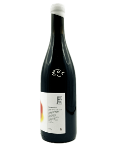 Les Bariolés - Moitié Route 2024 - Avintures