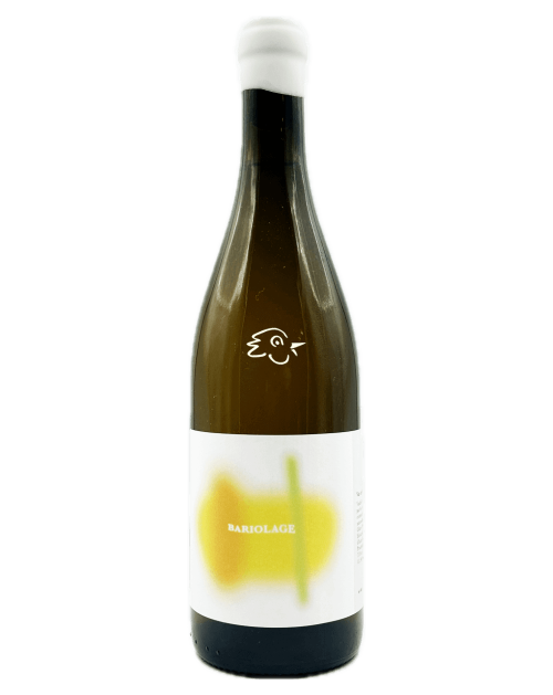 Les Bariolés - Bariolage Blanc 2024 - Avintures