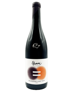 Alumni - Bourgogne Pinot Noir 2023 - Avintures