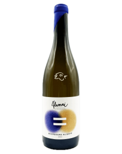 Alumni - Bourgogne Aligoté 2023 - Avintures