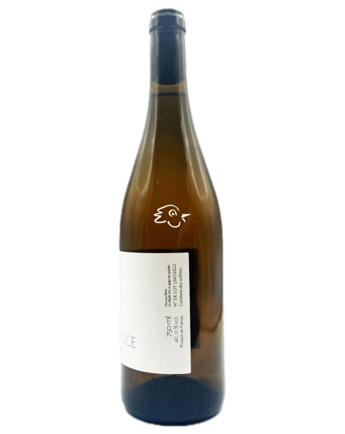 Cyril Courvoisier - La Montagne 2022 - Avintures