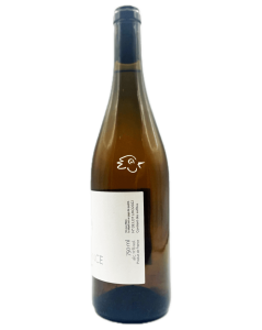 Cyril Courvoisier - La Montagne 2022 - Avintures