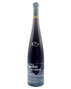 Les Frères Soulier - Théâtre Magique 2020 - Avintures