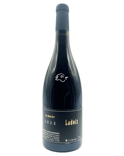 Julien Cruchandeau - Ladoix Rouge 2023 - Avintures