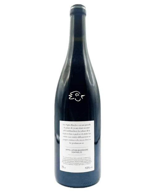 Gabriel Keltchewsky - Pinot Noir Vignes Blanches 2023 - Avintures