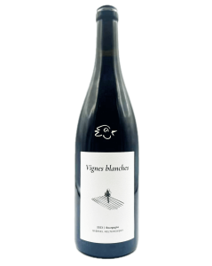 Gabriel Keltchewsky - Pinot Noir Vignes Blanches 2023 - Avintures
