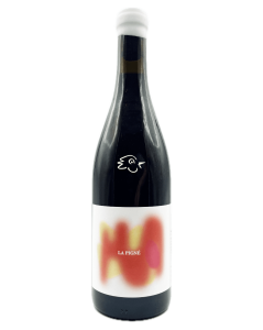 Les Bariolés - La Pigné 2024 - Avintures