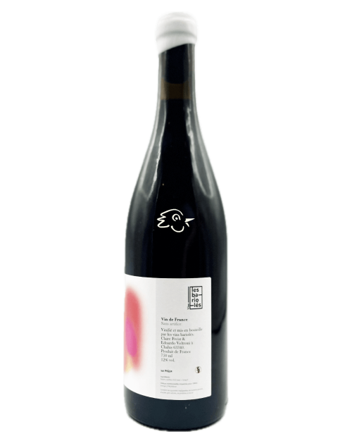 Les Bariolés - La Pigné 2024 - Avintures