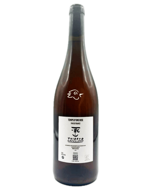 Thibaud Capellaro - SLOPE - Le Temps d'une Bise 24 - Avintures