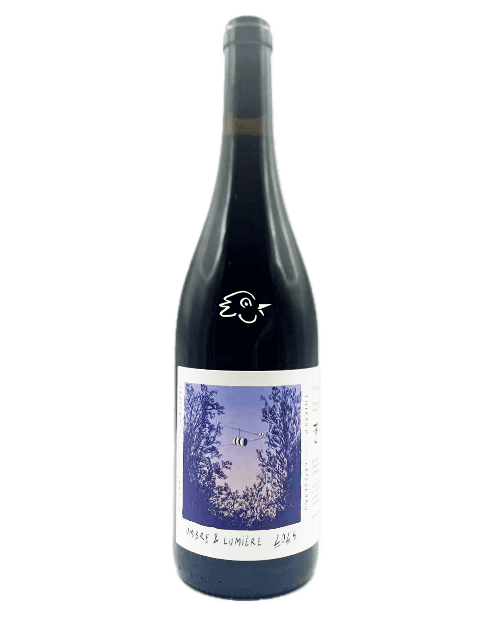 Etienne Seignovert - Ombre & Lumière 2024 - Avintures