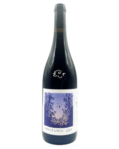 Etienne Seignovert - Ombre & Lumière 2024 - Avintures