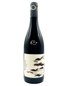 Chantereves - Nuits Saint Georges Les Tuyaux 2022 - Avintures