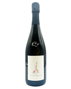 Champagnes Cordeuil - Clair Obscur Brut Nature 2020 - Avintures