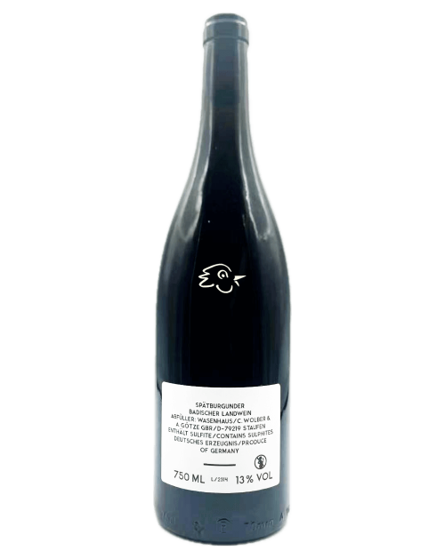 Wasenhaus - Kalk 2023 - Avintures