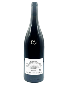 Wasenhaus - Kalk 2023 - Avintures