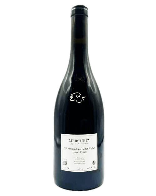 Bastian Wolber - Mercurey 2024 - Avintures