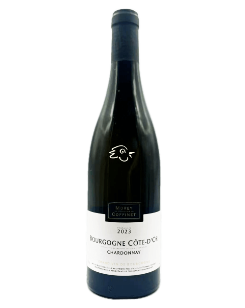 Morey Coffinet - Bourgogne Côte d'Or Chardonnay 2023 - Avintures