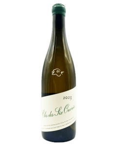 Domaine Rougeot - Clos des Six Ouvrées 2023 SSA - Avintures