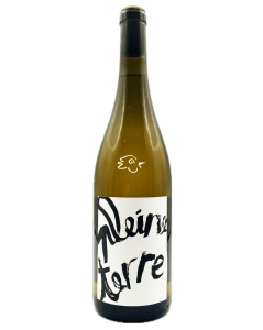 Jeux de Vins - Pleine Terre Klevener 2024 - Avintures