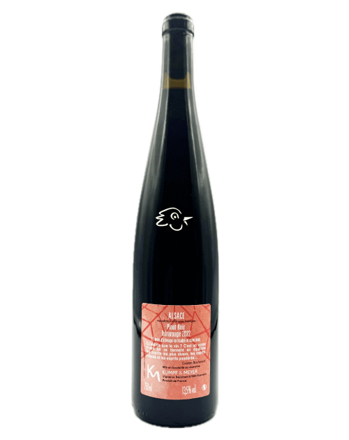 Kumpf & Meyer - Infrarouge 2022 - Avintures