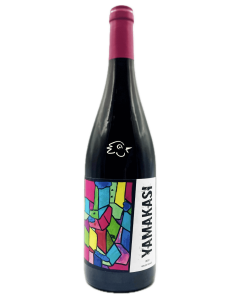 Bernard Duseigneur - Yamakasi 2022 - Avintures