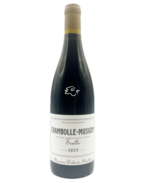 Maxime Dubuet-Boillot - Chambolle Musigny Seulle 2023 - Avintures