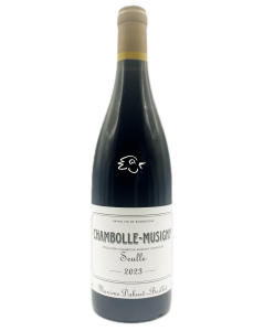 Maxime Dubuet-Boillot - Chambolle Musigny Seulle 2023 - Avintures