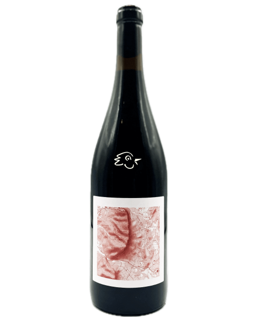 Mariotti Bindi - Cantina Di Torra 2024 - Avintures