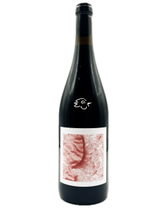 Mariotti Bindi - Cantina Di Torra 2024 - Avintures