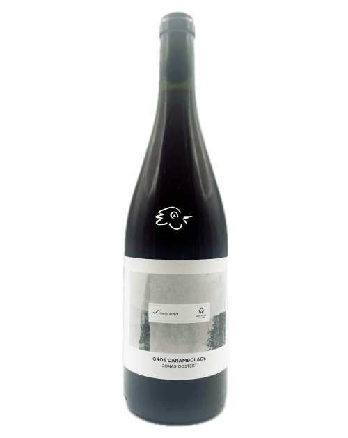 Jonas Dostert - Gros Carambolage 22/23 - Avintures