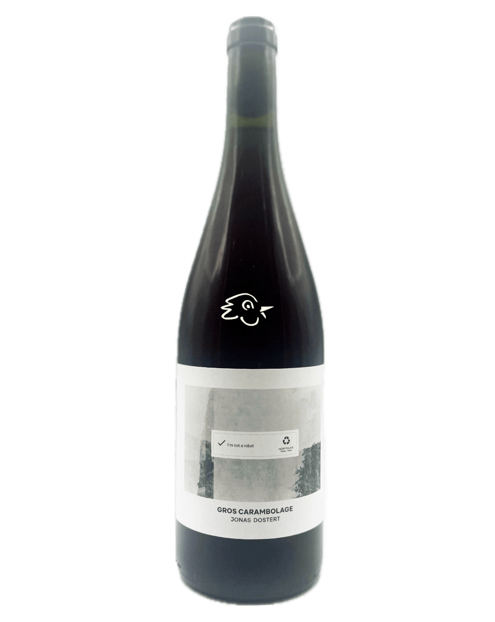 Jonas Dostert - Gros Carambolage 22/23 - Avintures