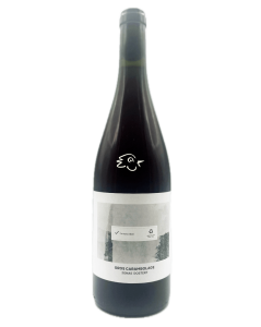 Jonas Dostert - Gros Carambolage 22/23 - Avintures