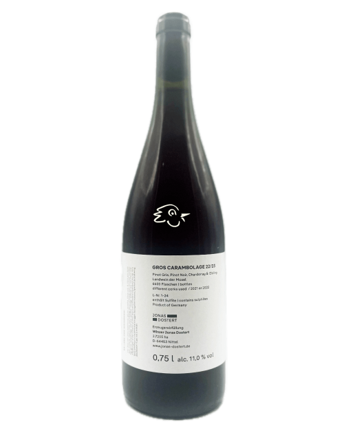 Jonas Dostert - Gros Carambolage 22/23 - Avintures