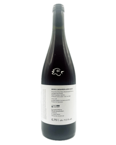 Jonas Dostert - Gros Carambolage 22/23 - Avintures