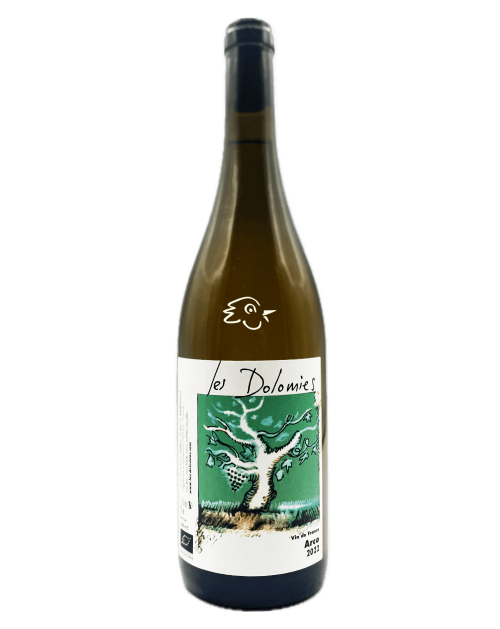 Les Dolomies - Arco 2023 - Avintures