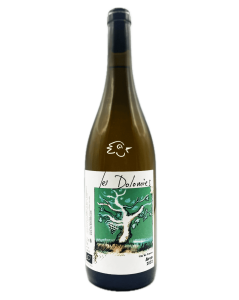 Les Dolomies - Arco 2023 - Avintures