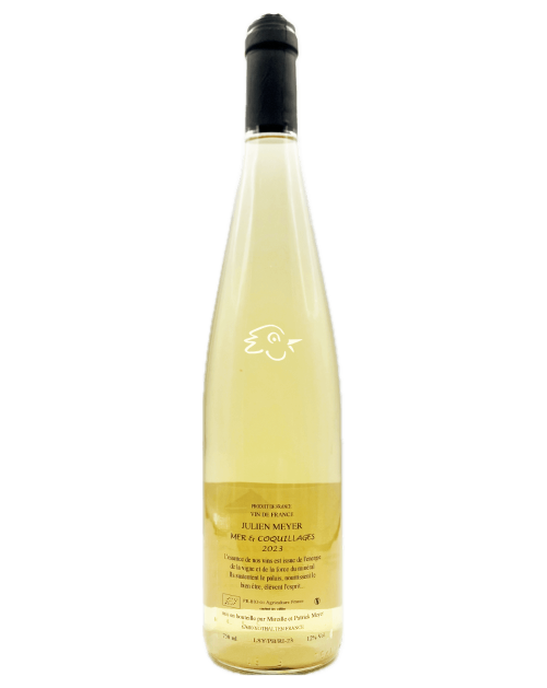 Julien Meyer - Mer & Coquilages 2024 - Avintures