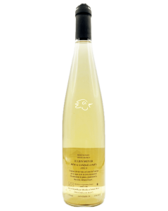 Julien Meyer - Mer & Coquilages 2024 - Avintures