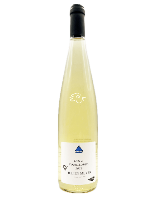 Julien Meyer - Mer & Coquilages 2024 - Avintures