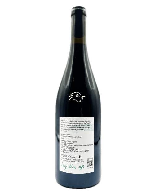 Icy Liu - Santenay Mulan 2024 - Avintures