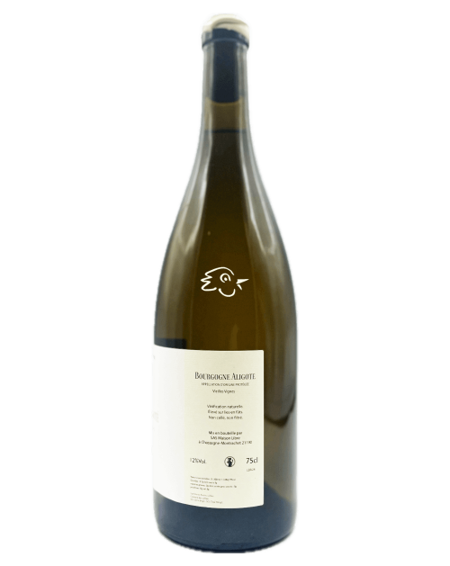 Guillaume L'Echanson - Bourgogne Aligoté 2024 - Avintures